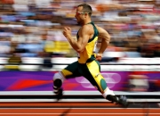 开云官网-温网翻盘铸就传奇，年终总决赛德约科维奇惊艳四座