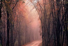 开云体育视频直播-南美风暴席卷北欧，巴拉圭对阵芬兰，基耶萨彻底打爆防线的战术启示