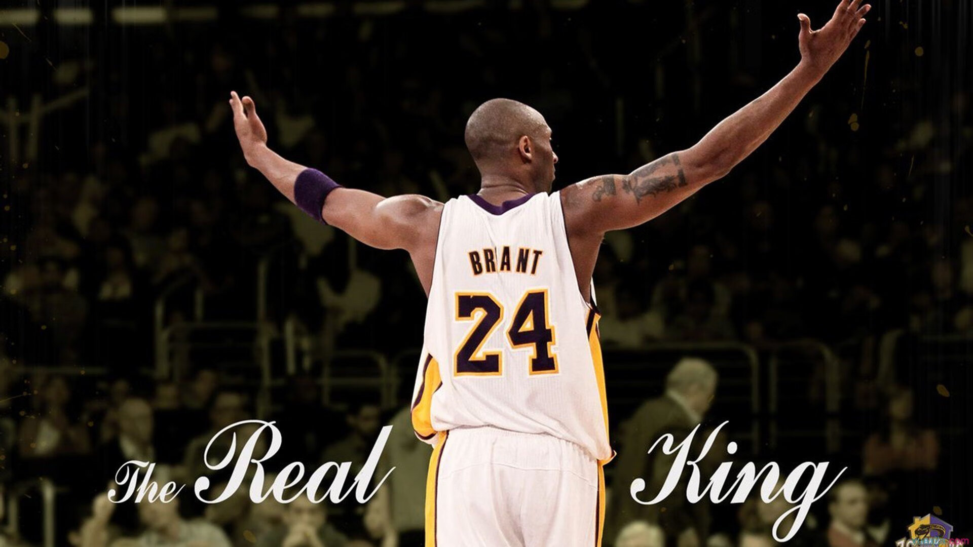 维也纳的意志，首尔的硝烟，奥恰洛夫如何以钢铁之躯统治赛场